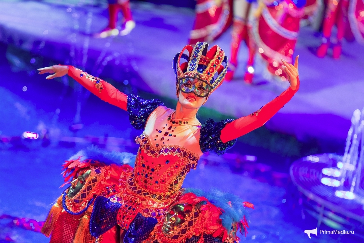 цирк на воде ярославль. цирк на воде шевченко-шоу. шапито в чебоксарах.