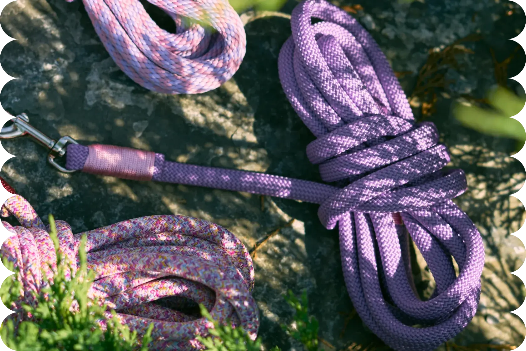 Сделай сам свой поводок Cookies hands-free