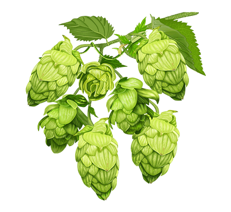 коктейли на основе кокьяка