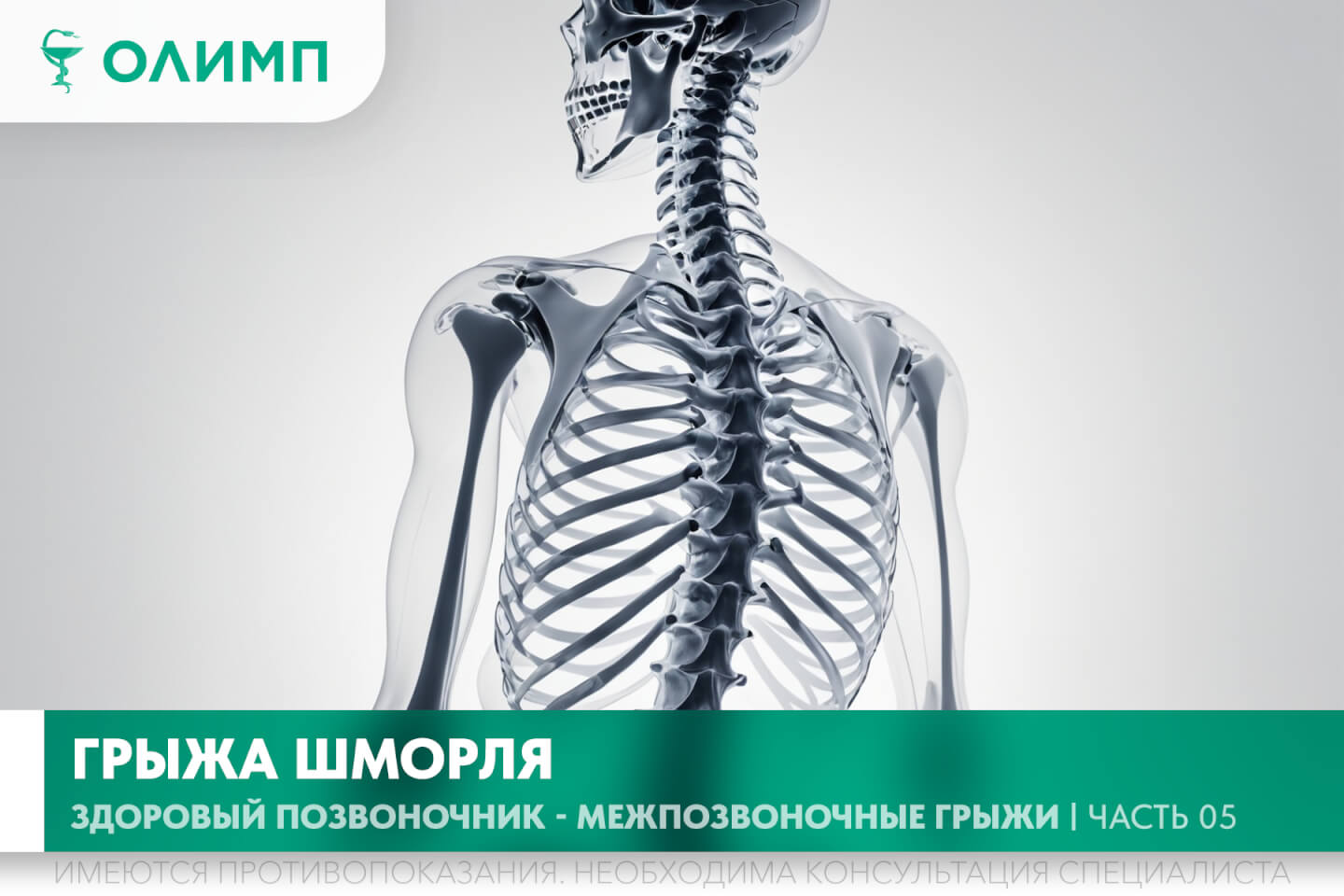 олимп тюмень медицинский центр клиника терапевт медцентр в тюмени олимпийская мельникайте позвоночник боли в спине спина