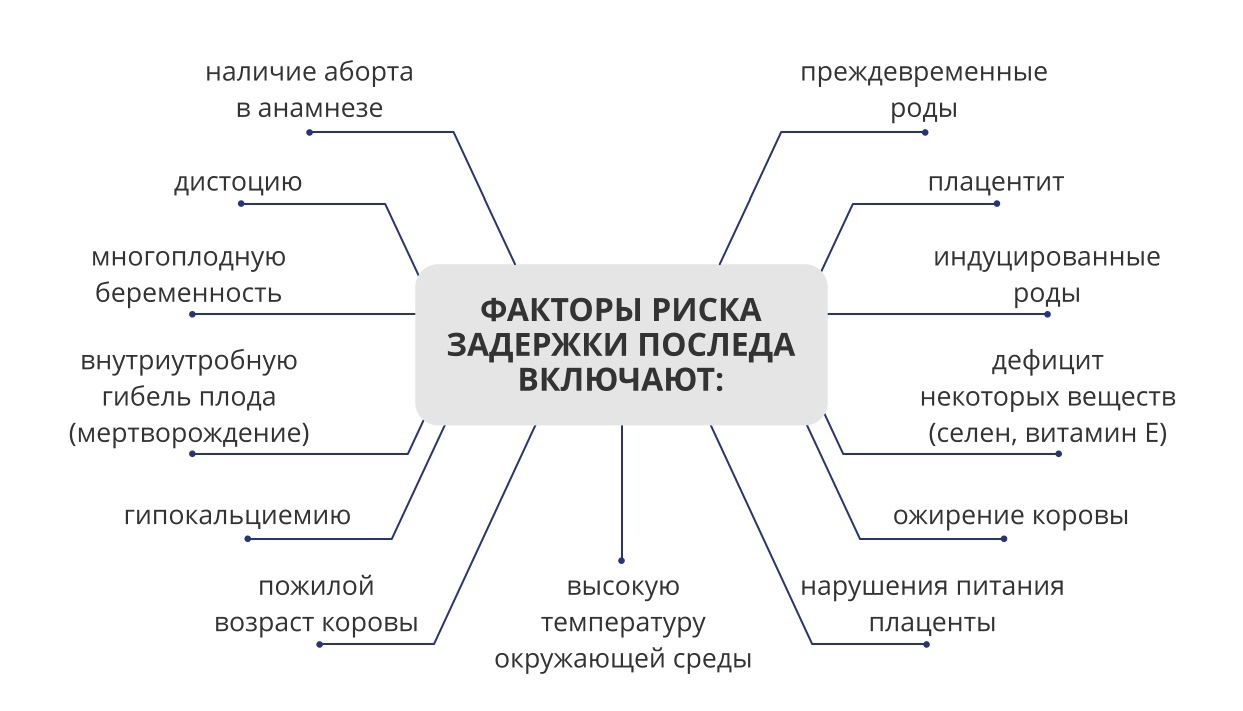 Последние добавленные