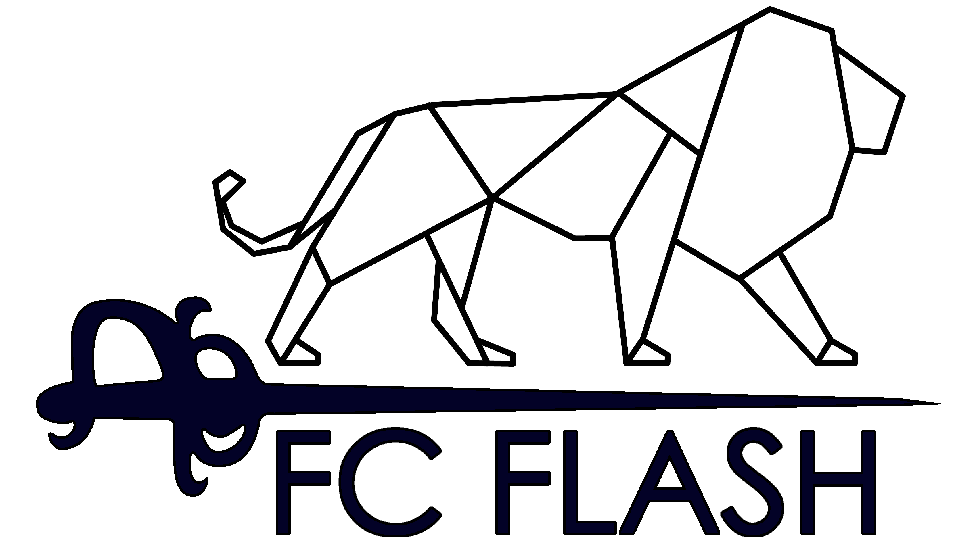 Cеть фехтовальных клубов лэш