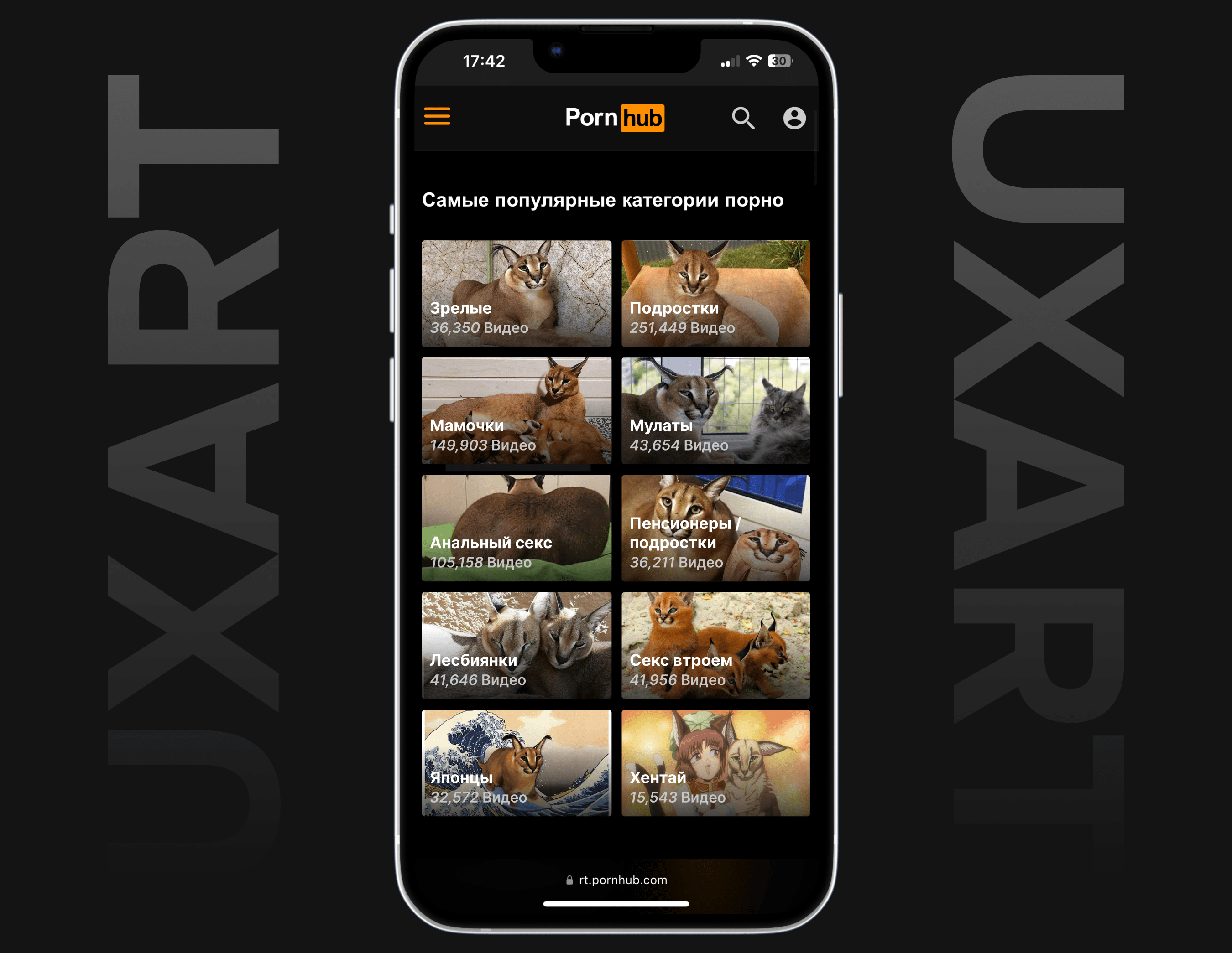 UX-патруль, выпуск десятый: Pornhub, Porno365, XVIDEOS