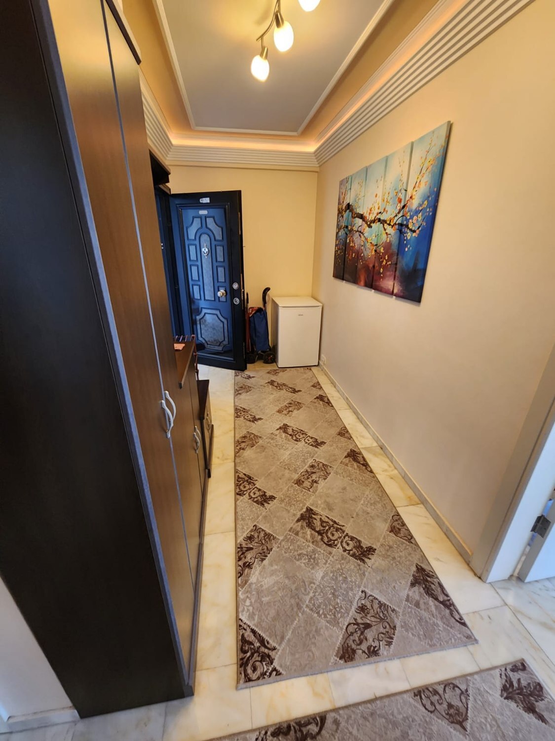 Kurt Safir 12 · 2+1 — zdjęcie 4