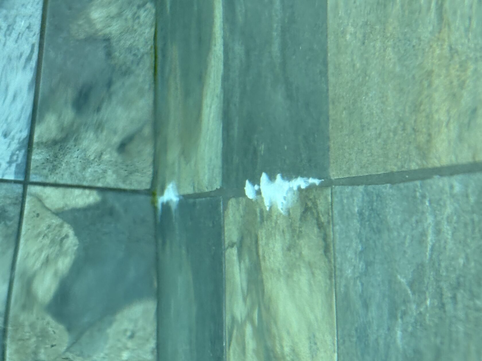 Calcium crystals, low LSI