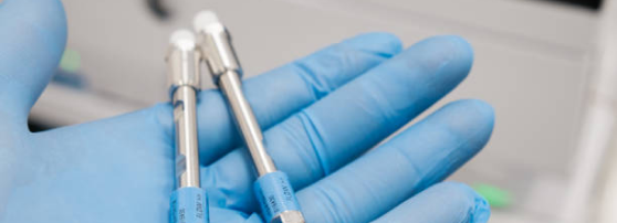 Säulen und Sorbentien flp