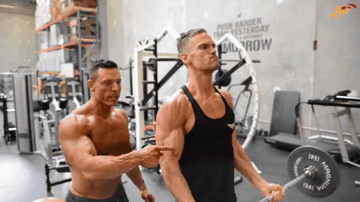 Подъём штанги на бицепс