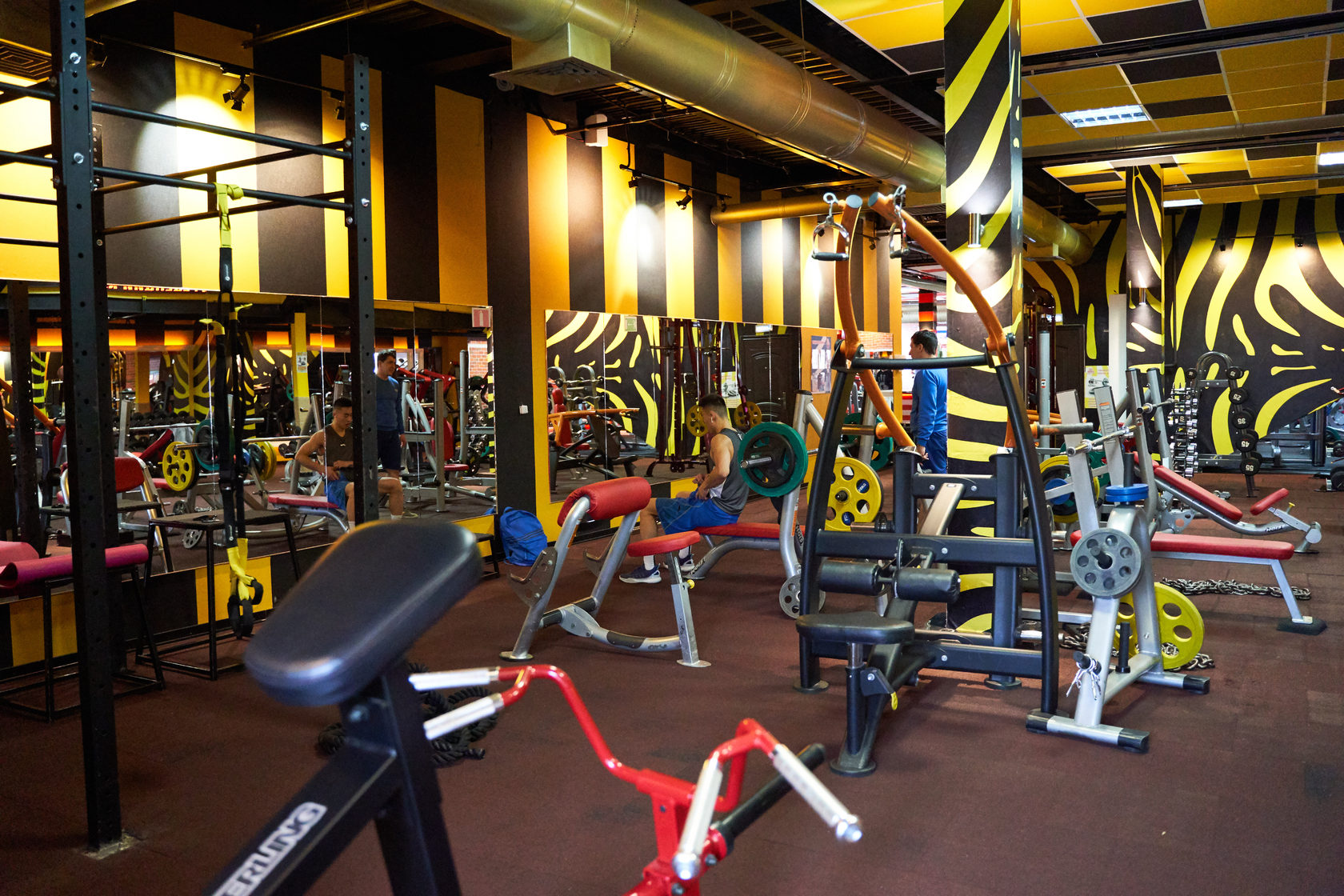 Vitacore ��������: ����.