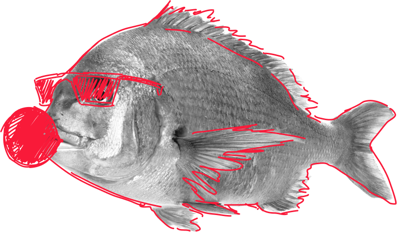 РЕПЕТИТОР НА 100 БАЛЛОВ