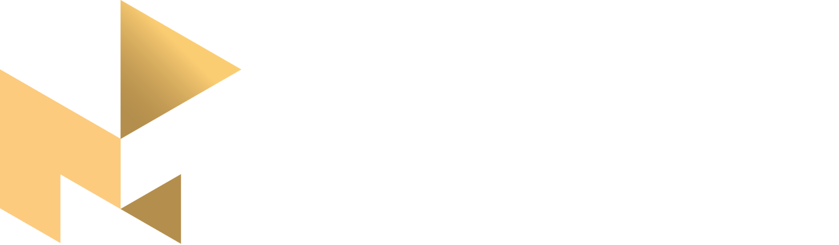 Company