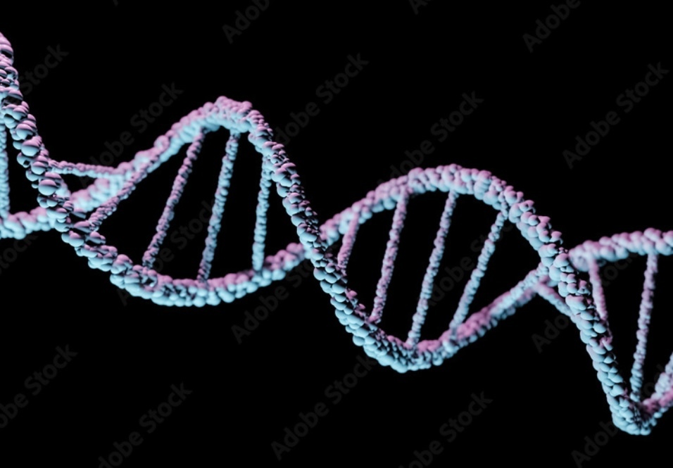 polynucleotide  hair loss