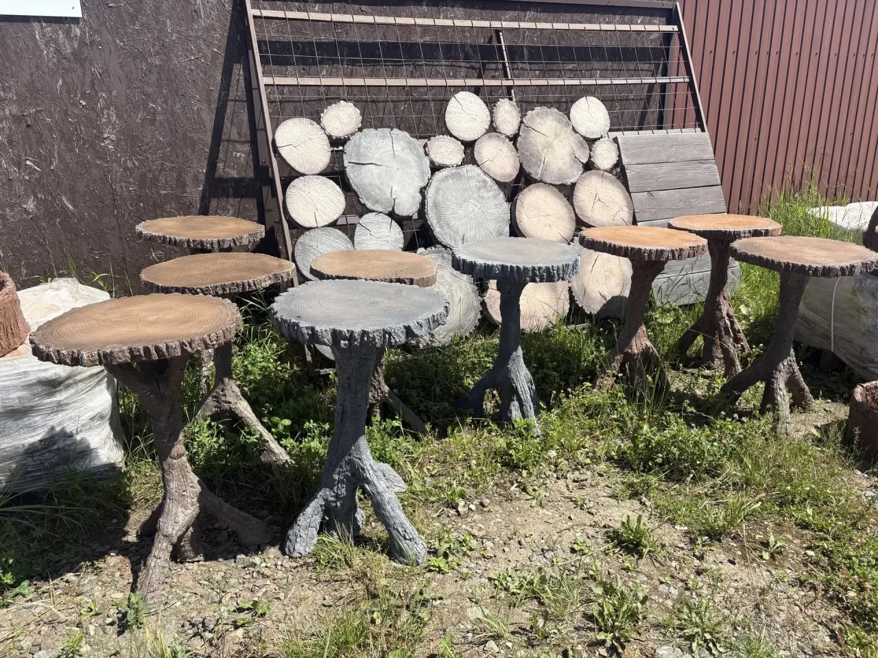 Дорожка из спилов в закатном свете