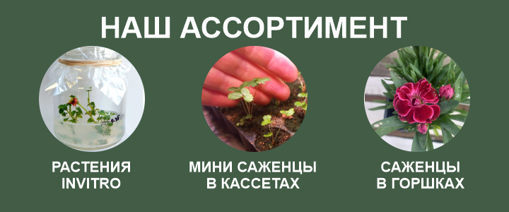 полный каталог растений