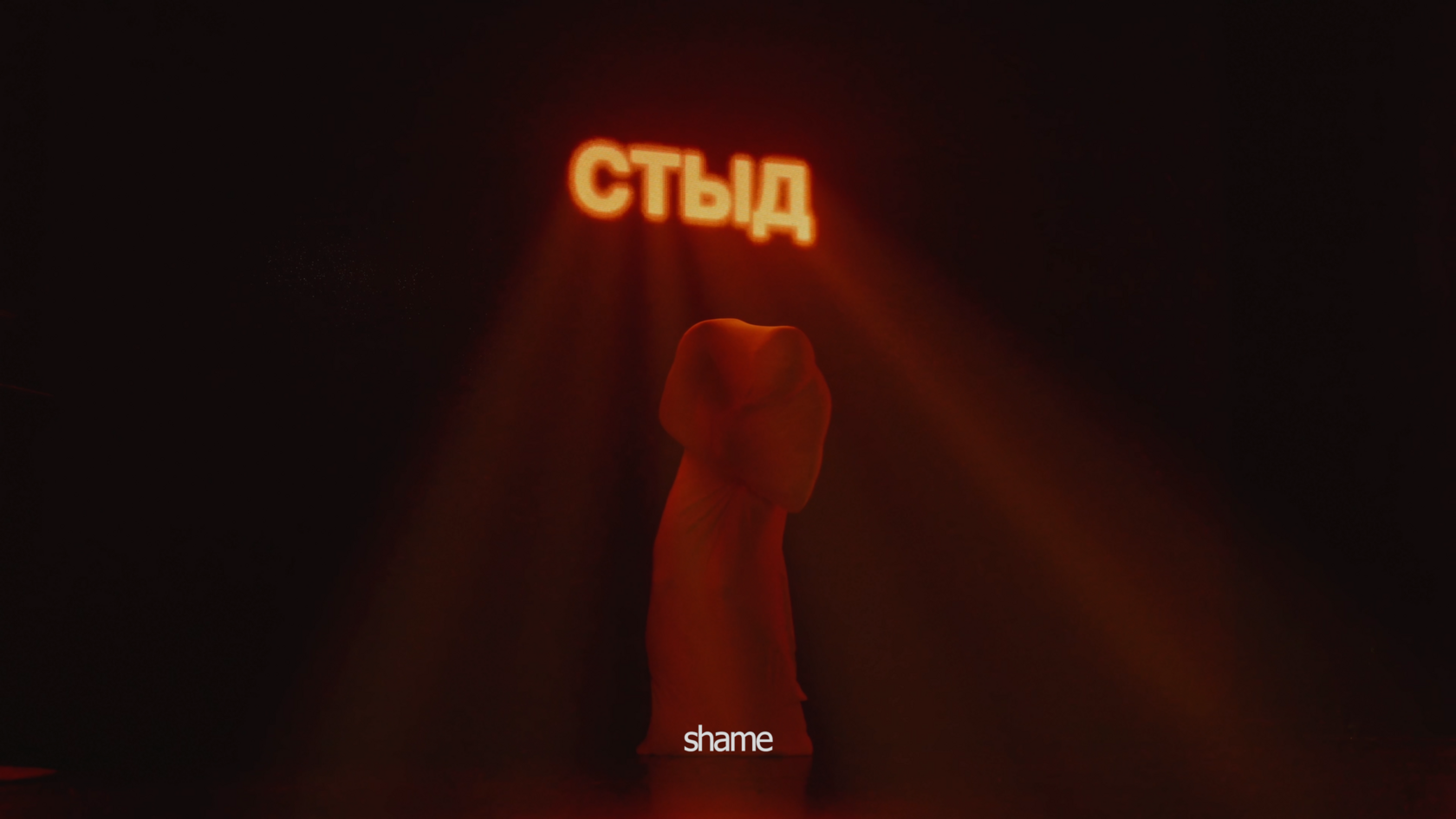 MEETING THE SHADOW still