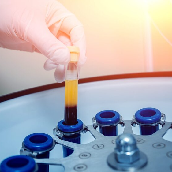 Проктология в клинике Гамма во Владимире