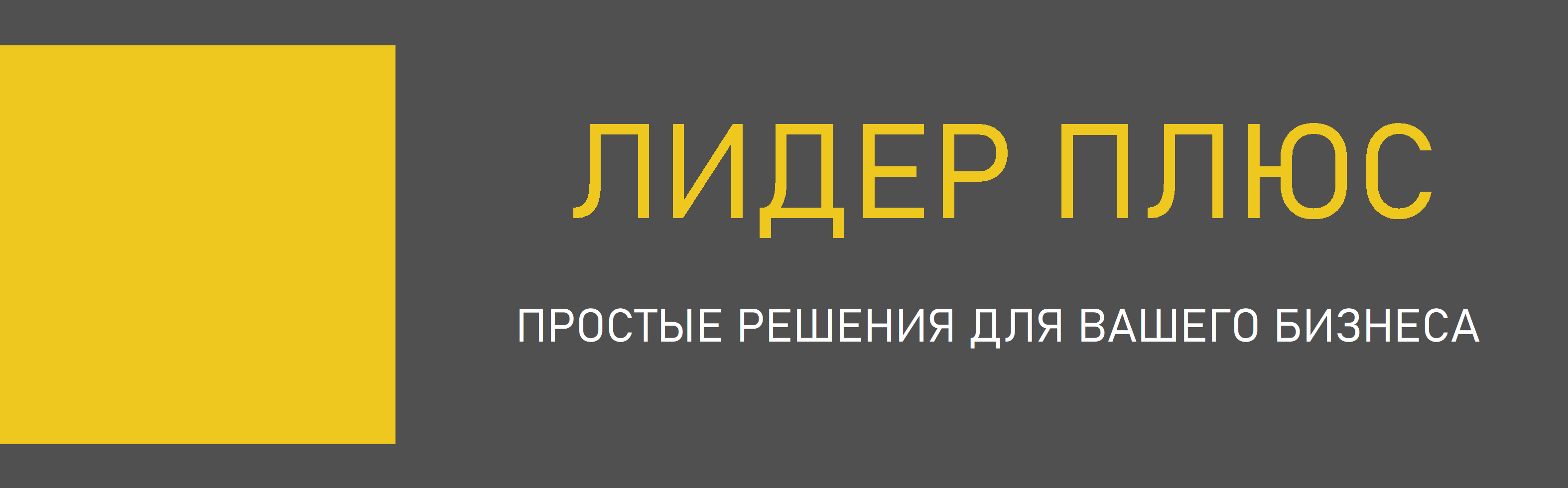 ЛИДЕР ПЛЮС 
