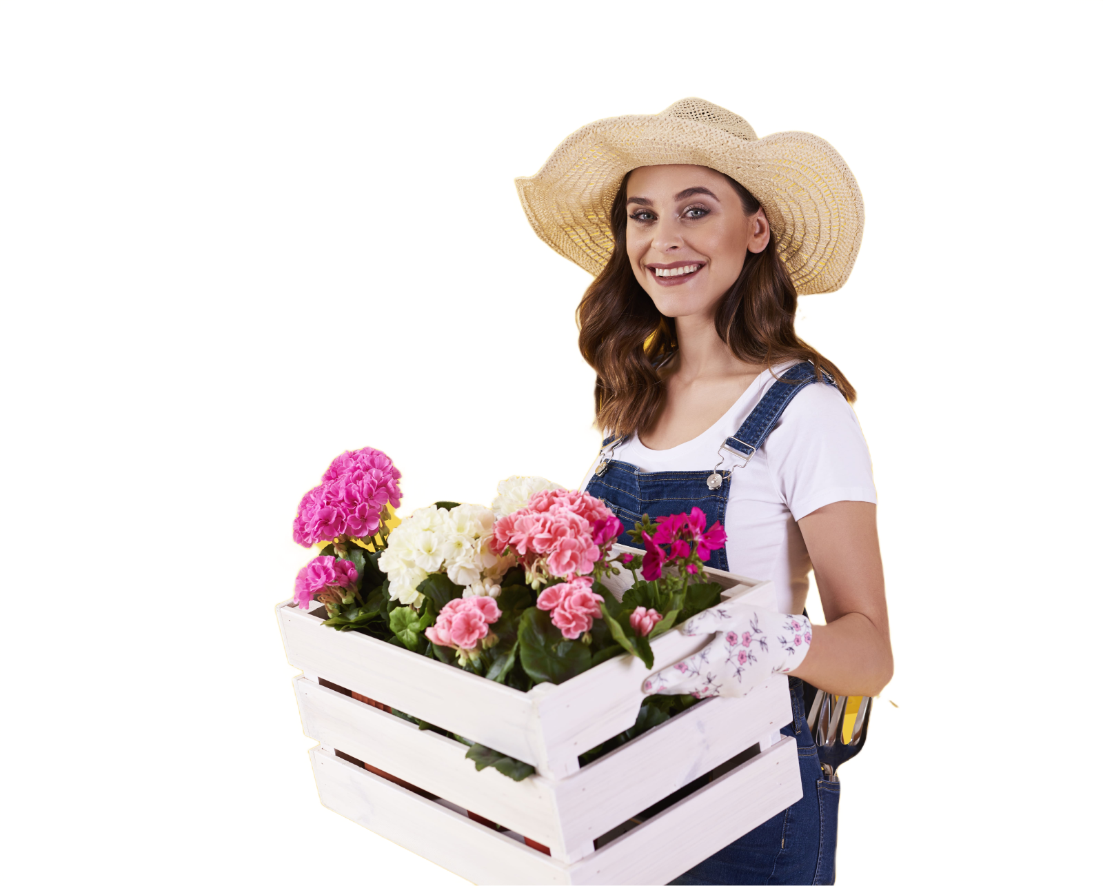 грядки из дпк