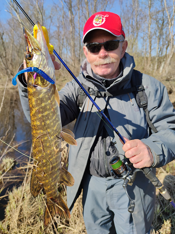 О компании Brown Perch