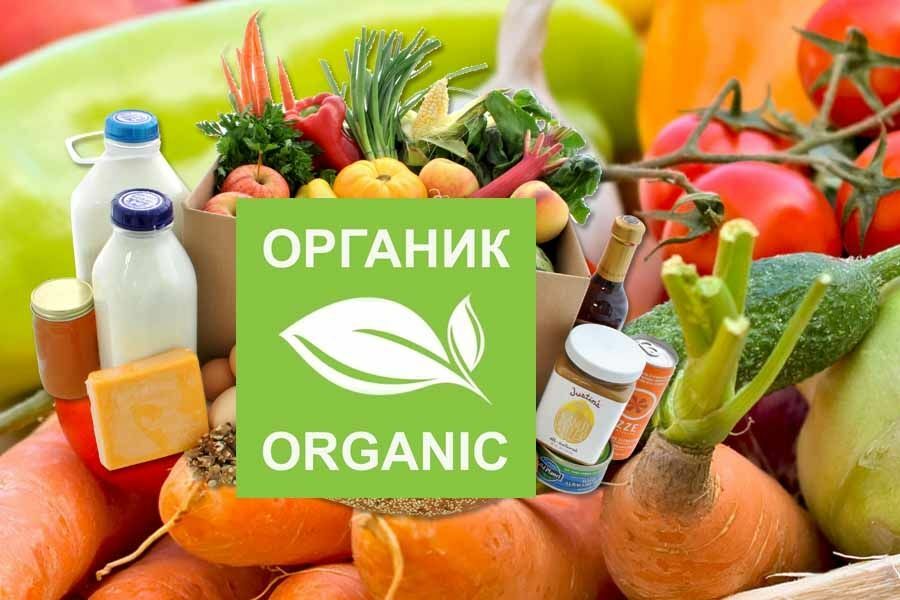 Производители органической продукции. Органические продукты. Органик продукт. Органическая сельскохозяйственная продукция.