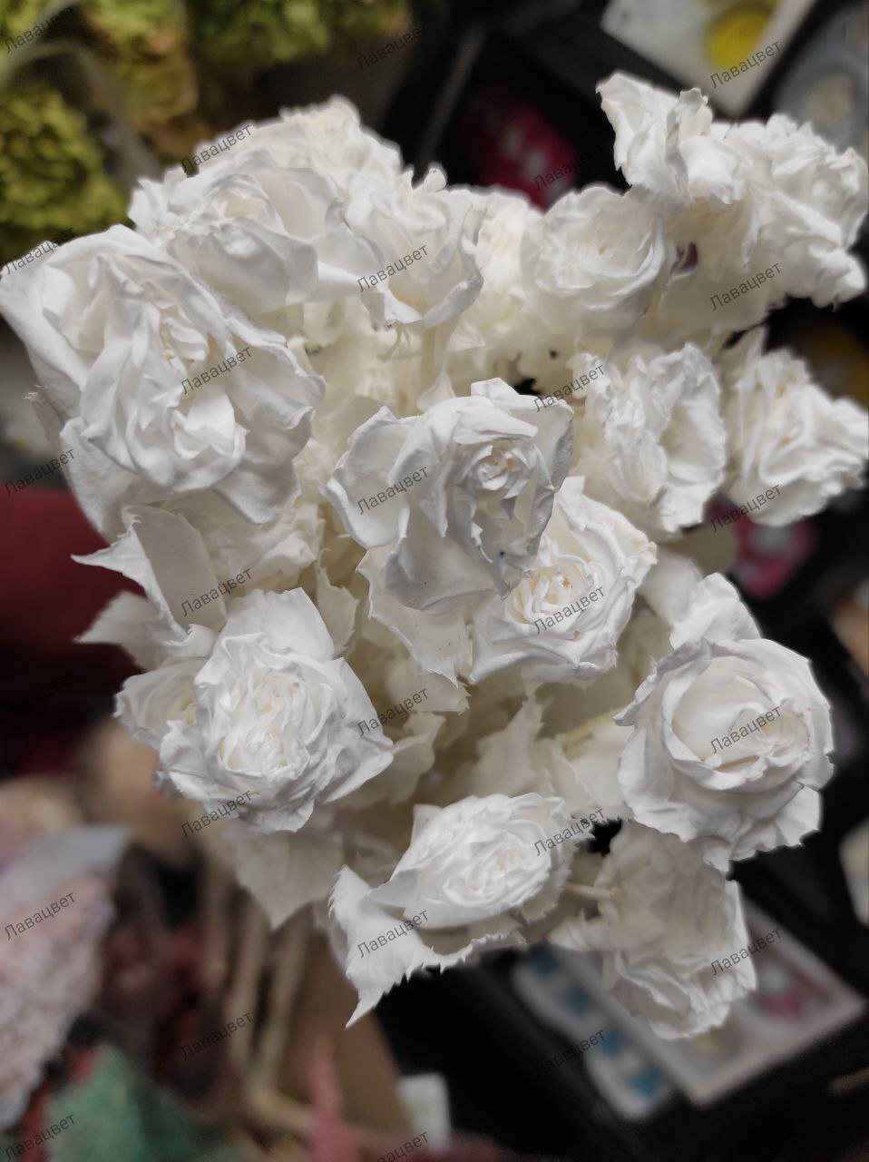 Стабилизированные розы на стебле