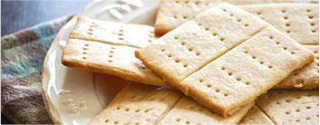 производство сухих ингредиентов, сухие ингредиенты купить, сухой сыр, производство сырного порошка, сырный порошок, сырный порошок купить, сухая сметана, сухие сливки, сухой творог, сухой йогурт, казеинат купить, FineCheese