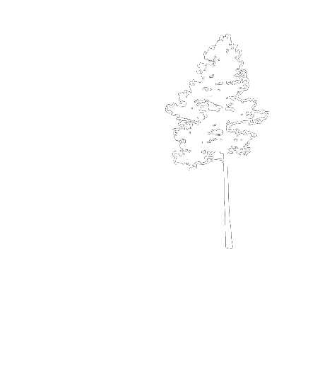 Глэмпинг и СПА Sampo