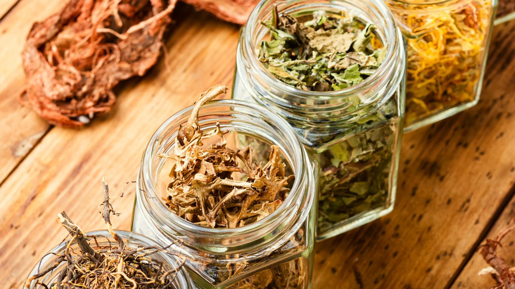 травы китайской медицины