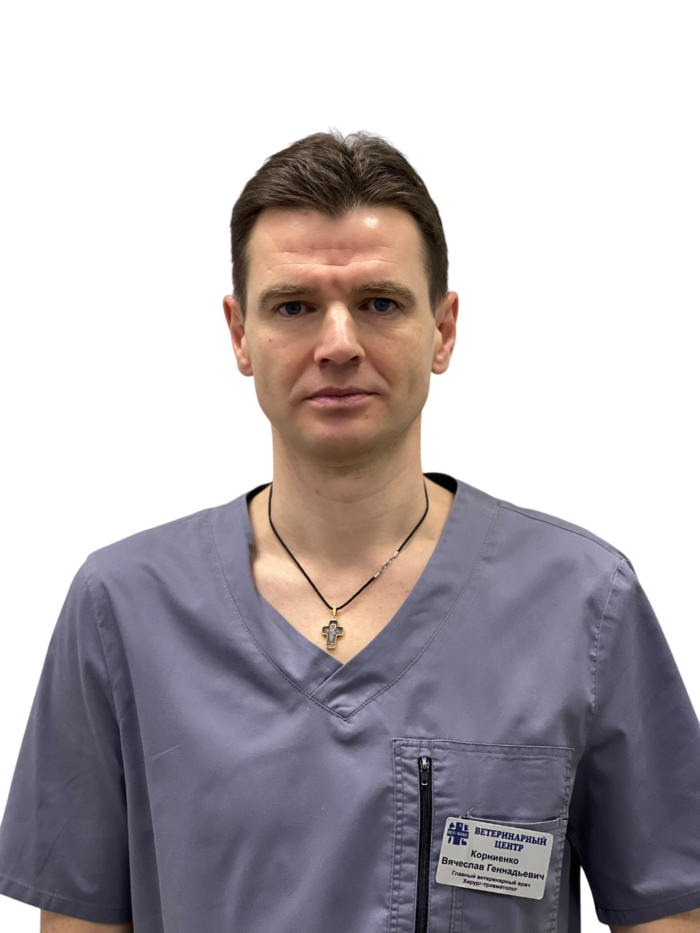 Ветмакс пушкино ветеринарная. Ветмакс пушкино ветеринарная. Ветклиника в пушкине. Вет макс пушкино. Ветмакс пушкино ветеринарная.