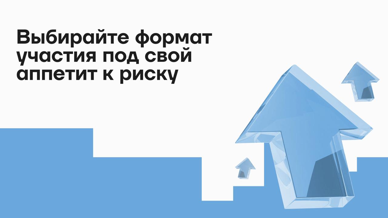 Форматы участия инвестора в проекте
