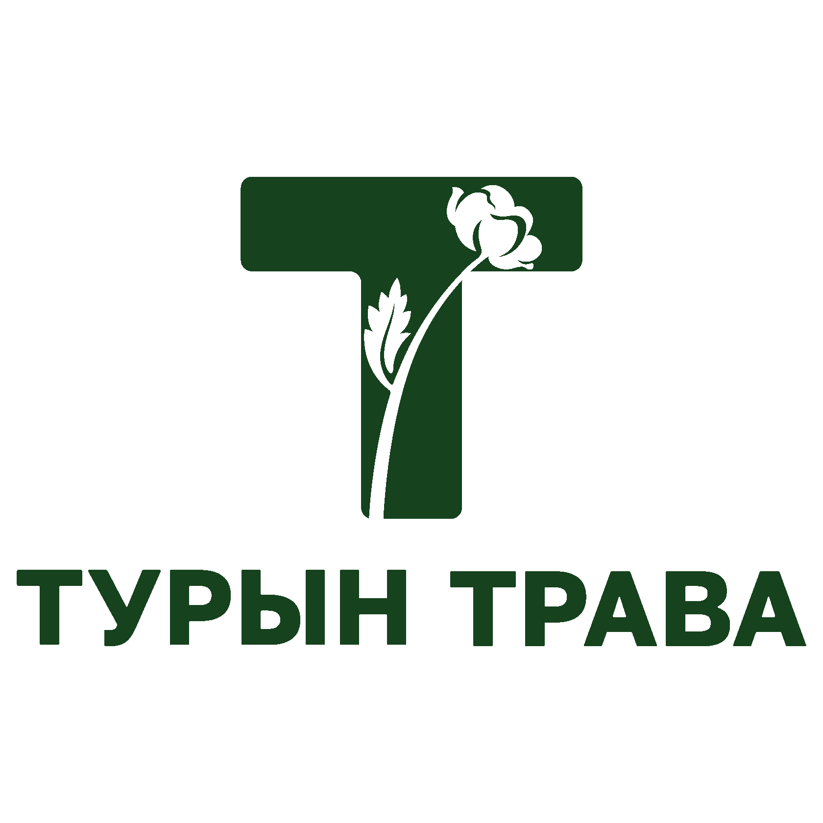 ТУРЫН ТРАВА