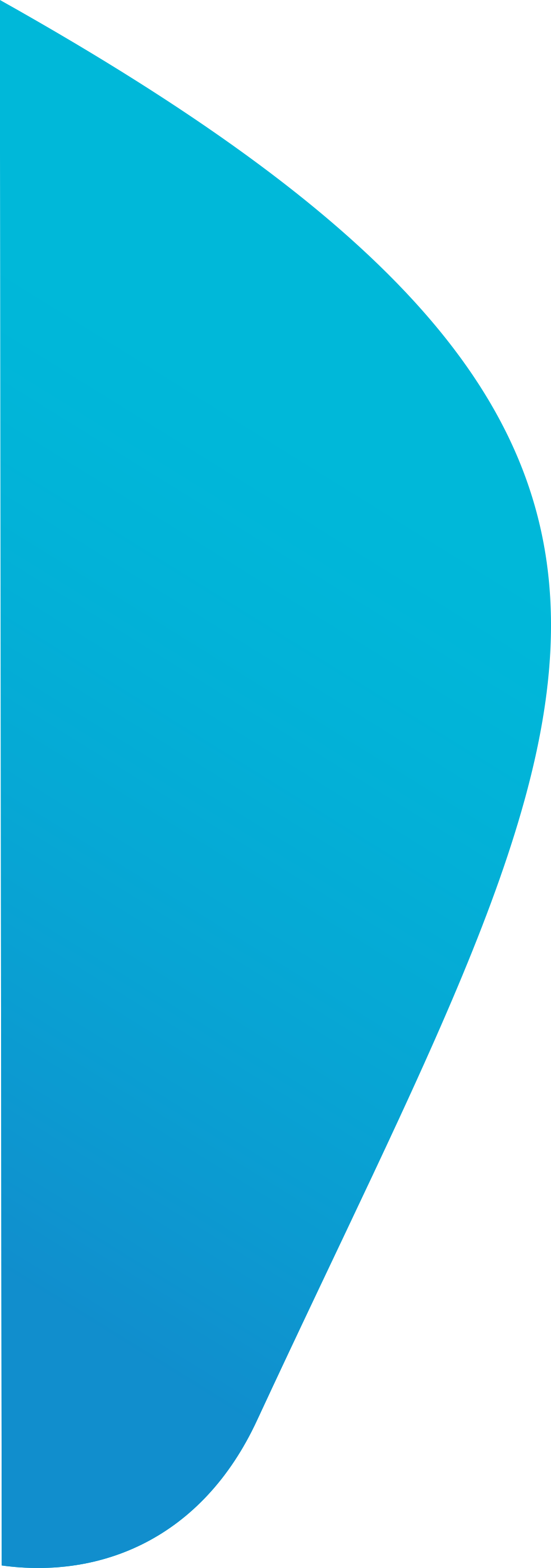 Элемент дизайна 2