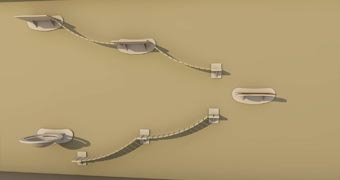 товары для кошек