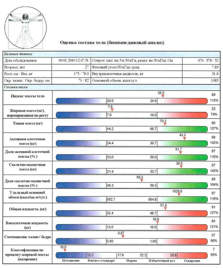 Состав тела