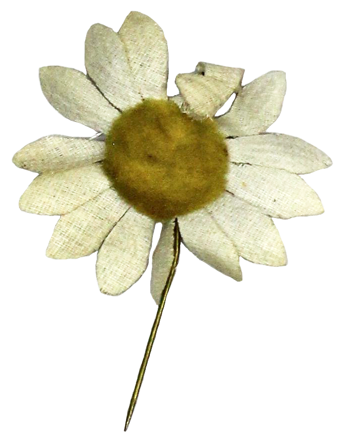 Благотворительный жетон