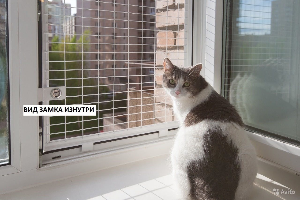 Купить сетку на окна для кошек. Решетка антикошка. Москитная кошка антикошка. Kaleva антикошка. Петскрин антикошка.
