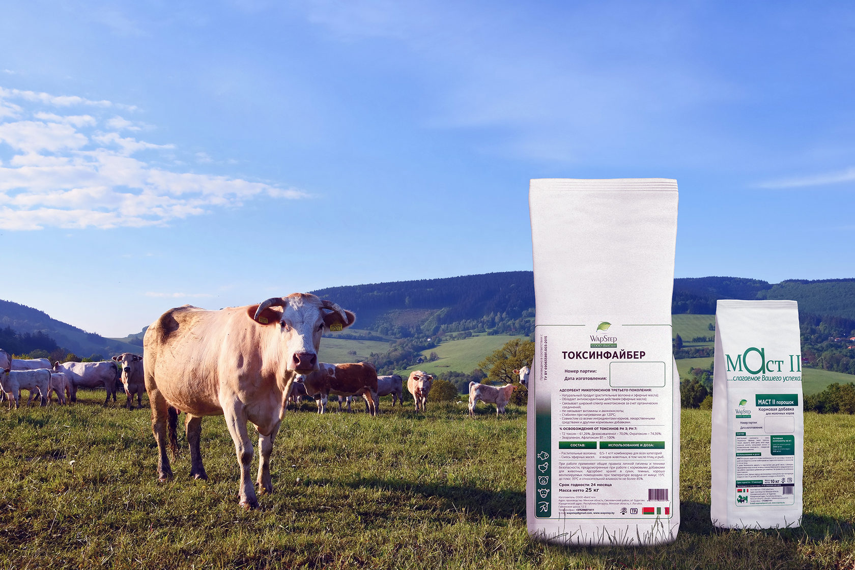 Маст II порошок купить