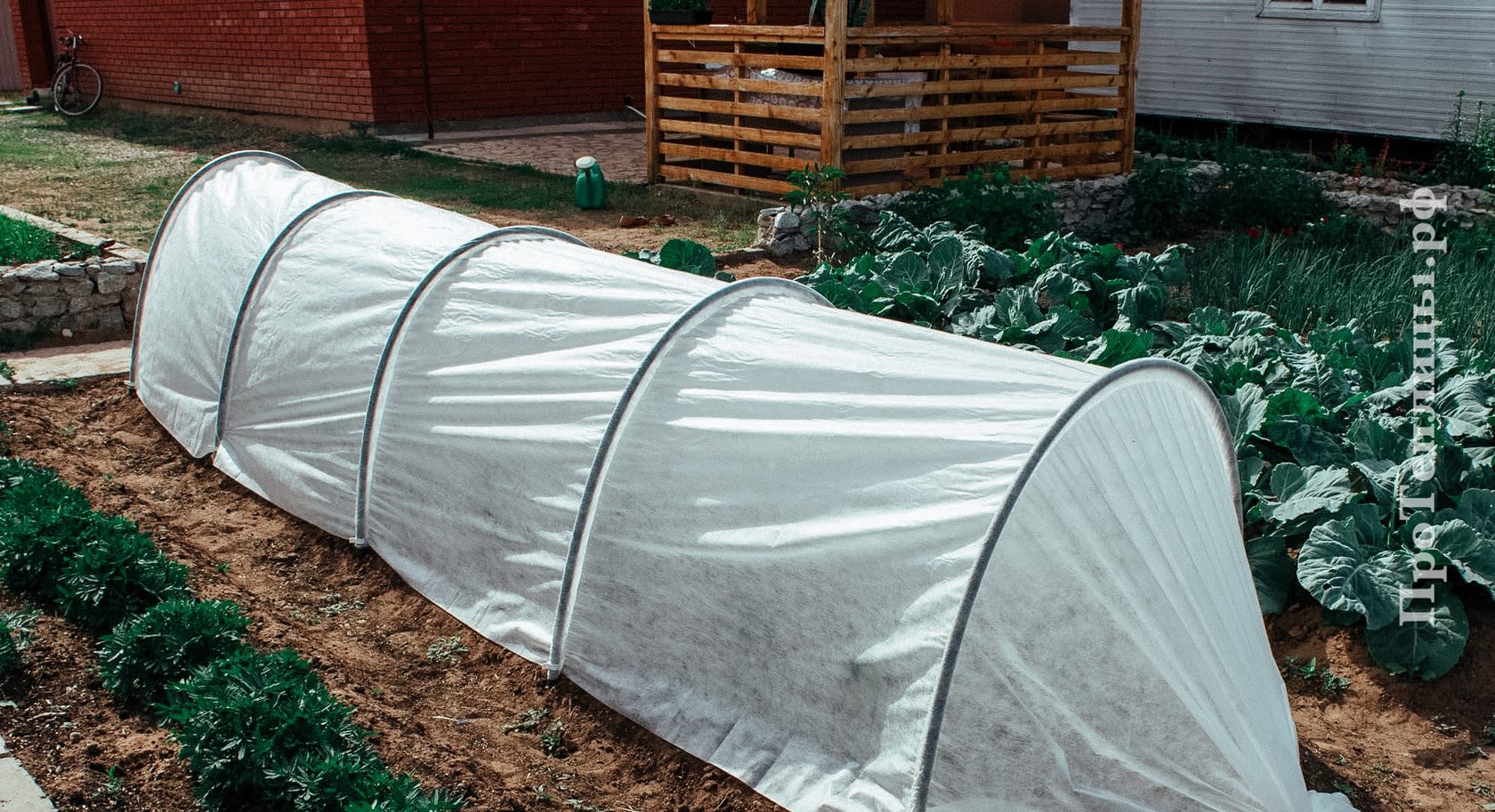 Купить парник Подснежник в Санкт-Петербурге