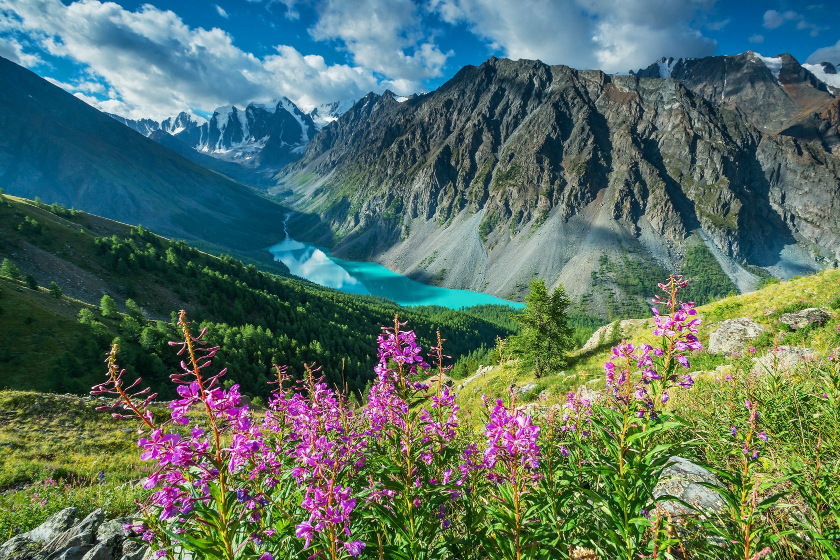 Фото горного алтая летом