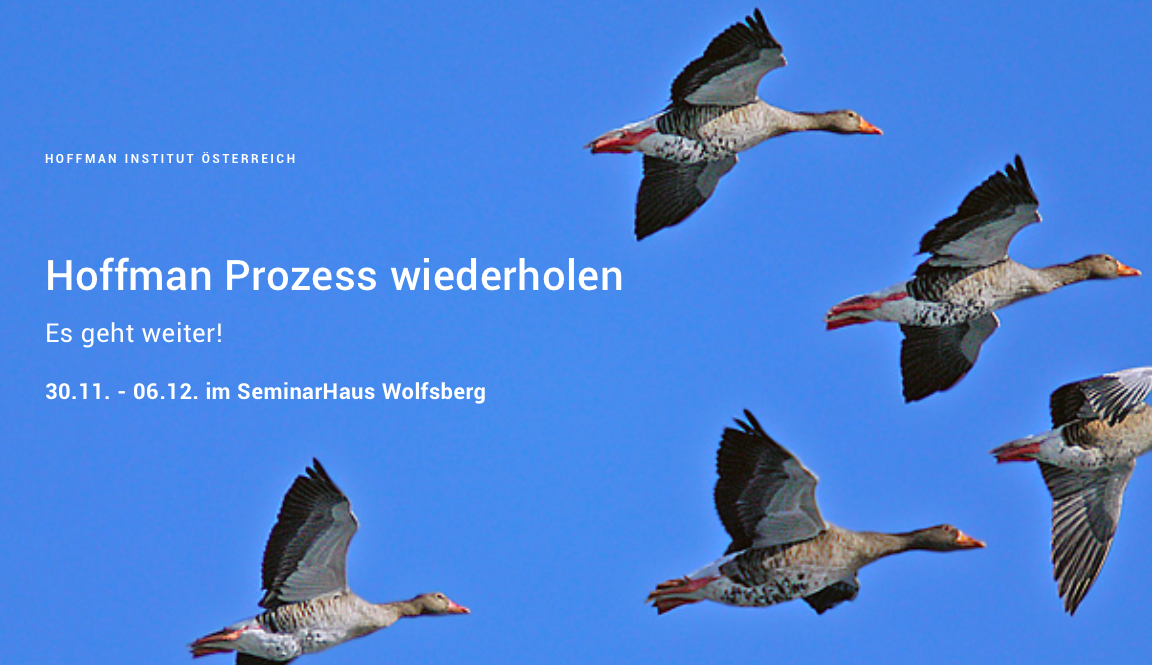 Hoffman Prozess Revival