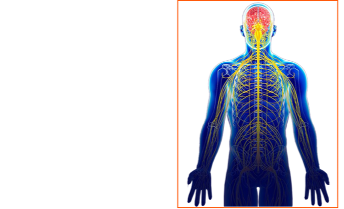 Валерий Уваров Пирамиды наследие богов, Кадуцеи Гора, Кадуцеи Ба-Ка, Жезлы Гора, Цилиндры фараона, Жезлы Египтян, Жезлы Ра