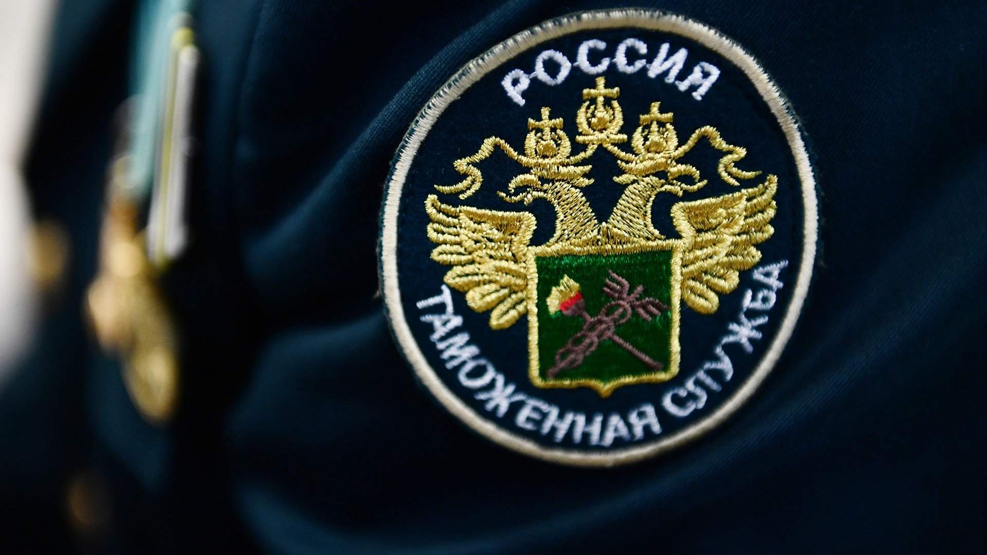 29 мая , День ветеранов таможенной службы 2025, гик хостел воронеж 2025