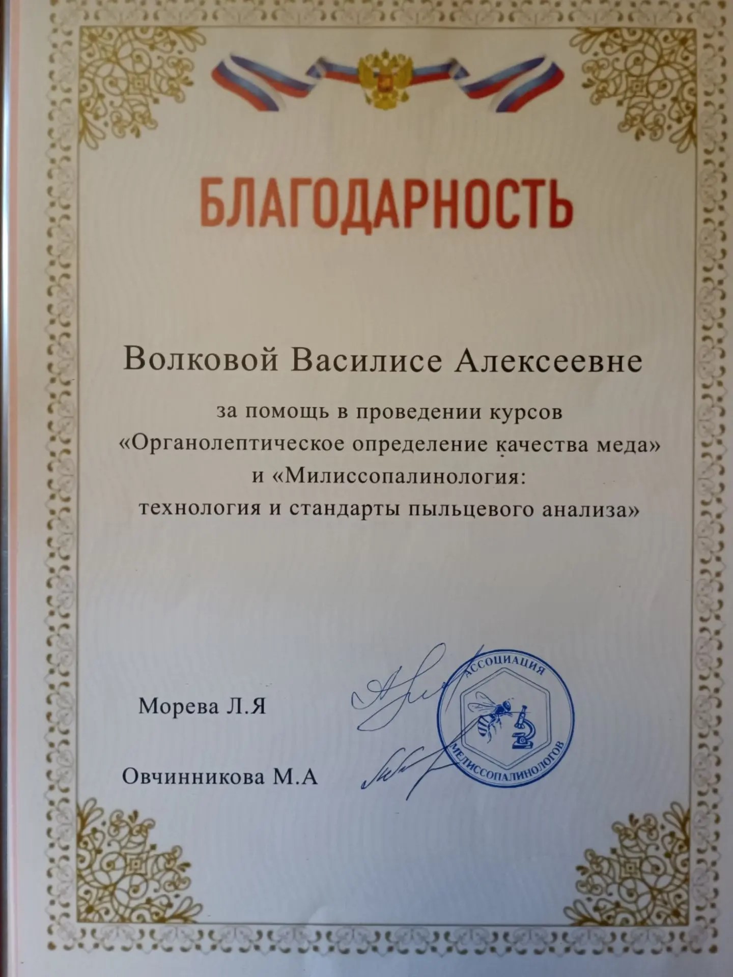 Благодарность Волковой Васиссе Алексеевне за помошь в КубГУ