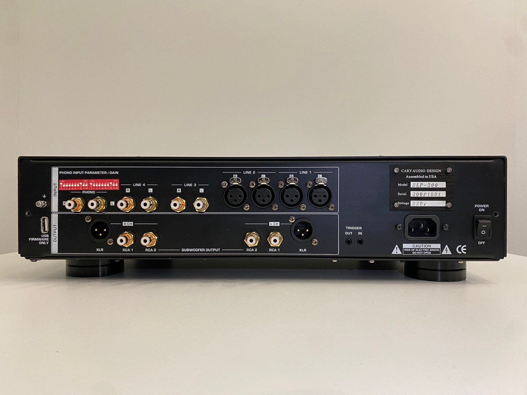 Cary Audio SLP-300 valve phono preamp rear panel