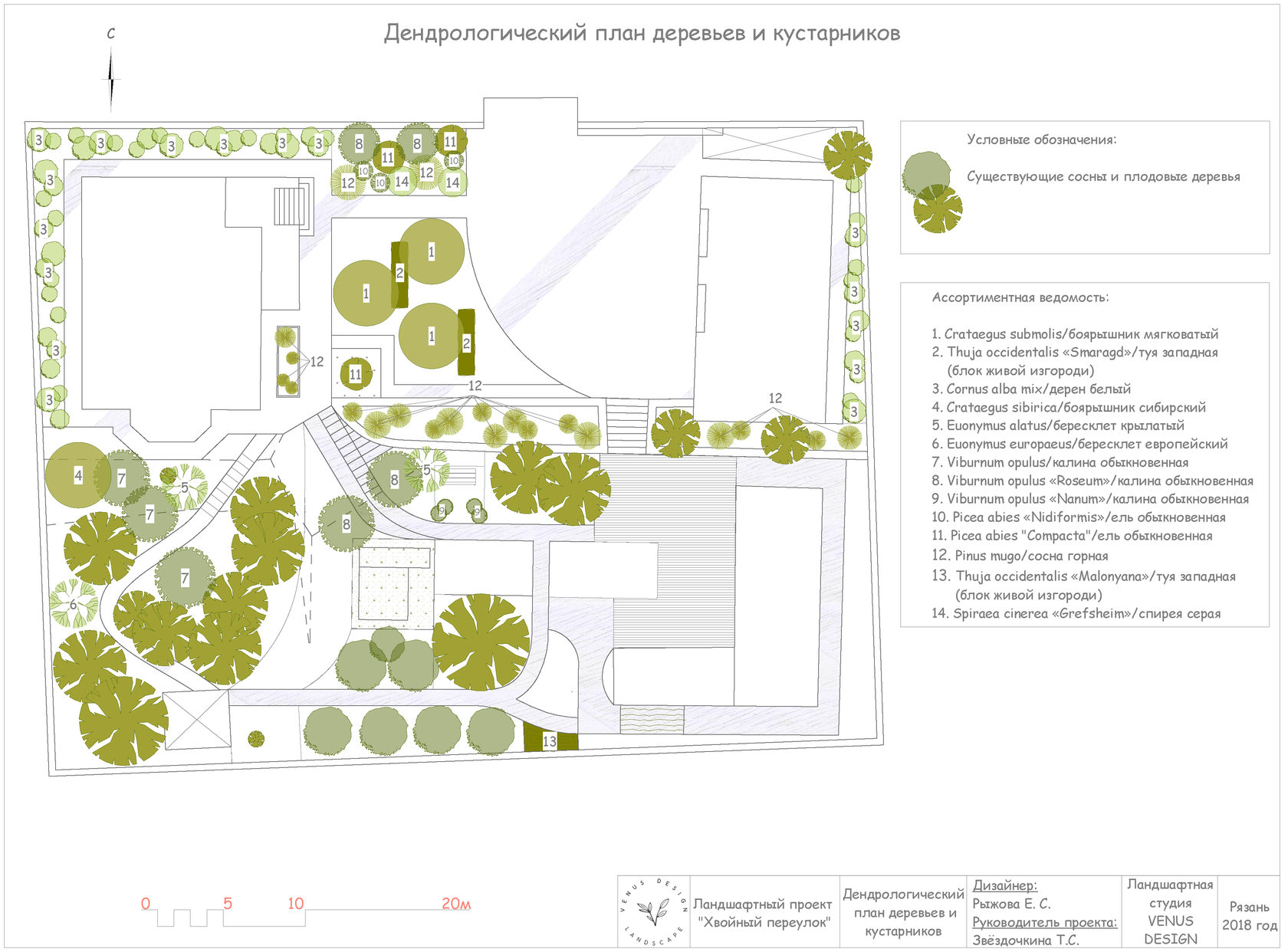 Спирея в живой изгороди схема посадки