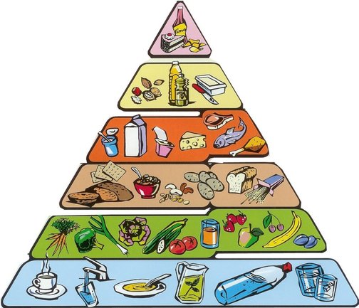 Пирамида питания: руководство по использованию для поддержания здоровья