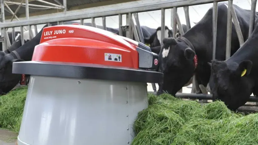 Автоматизированная система кормления