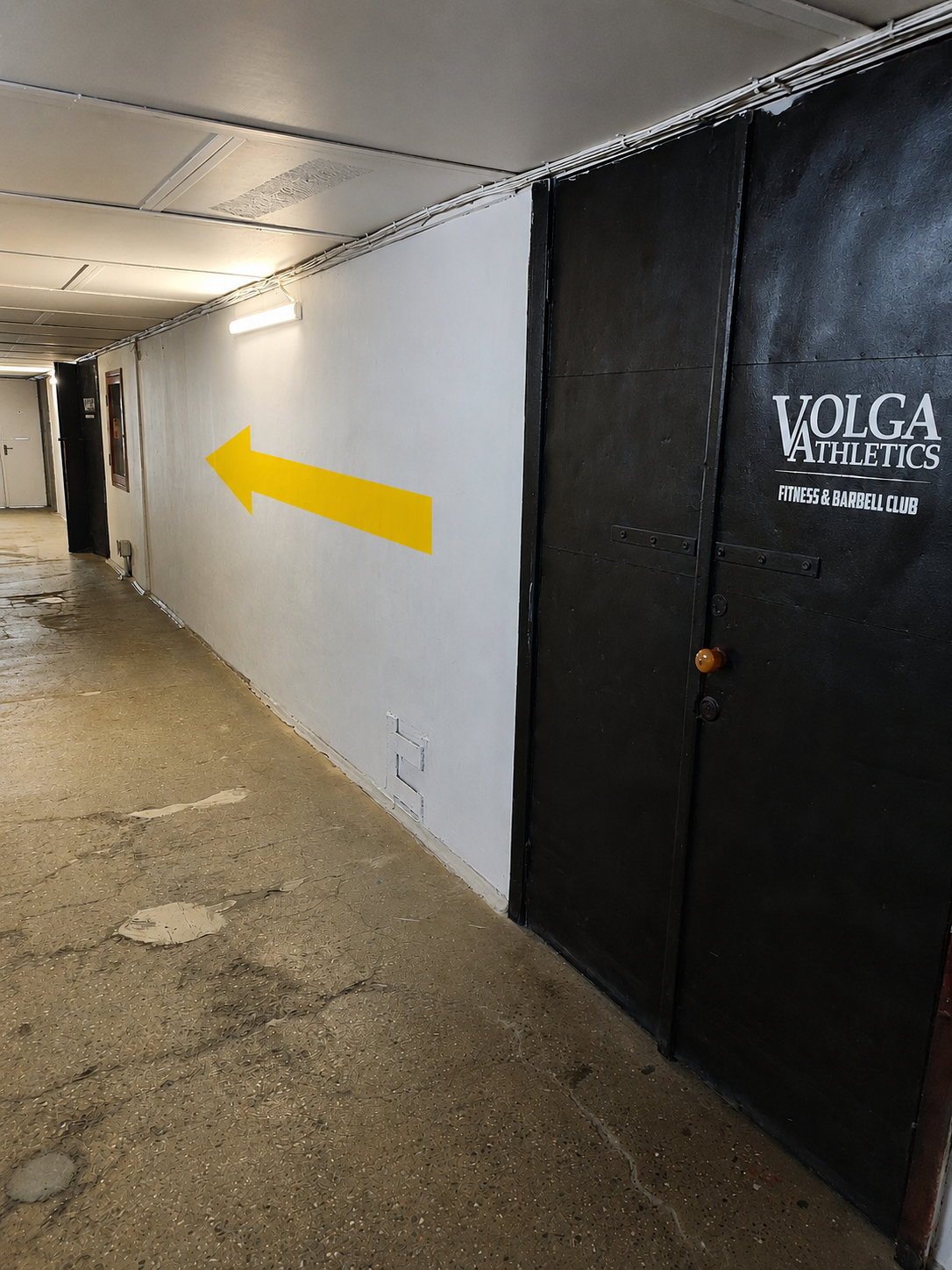 Дверь Volga Athletics