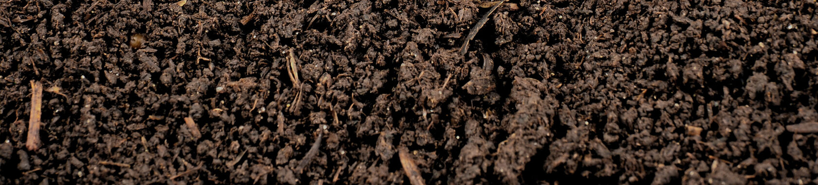 Карта черноземов России