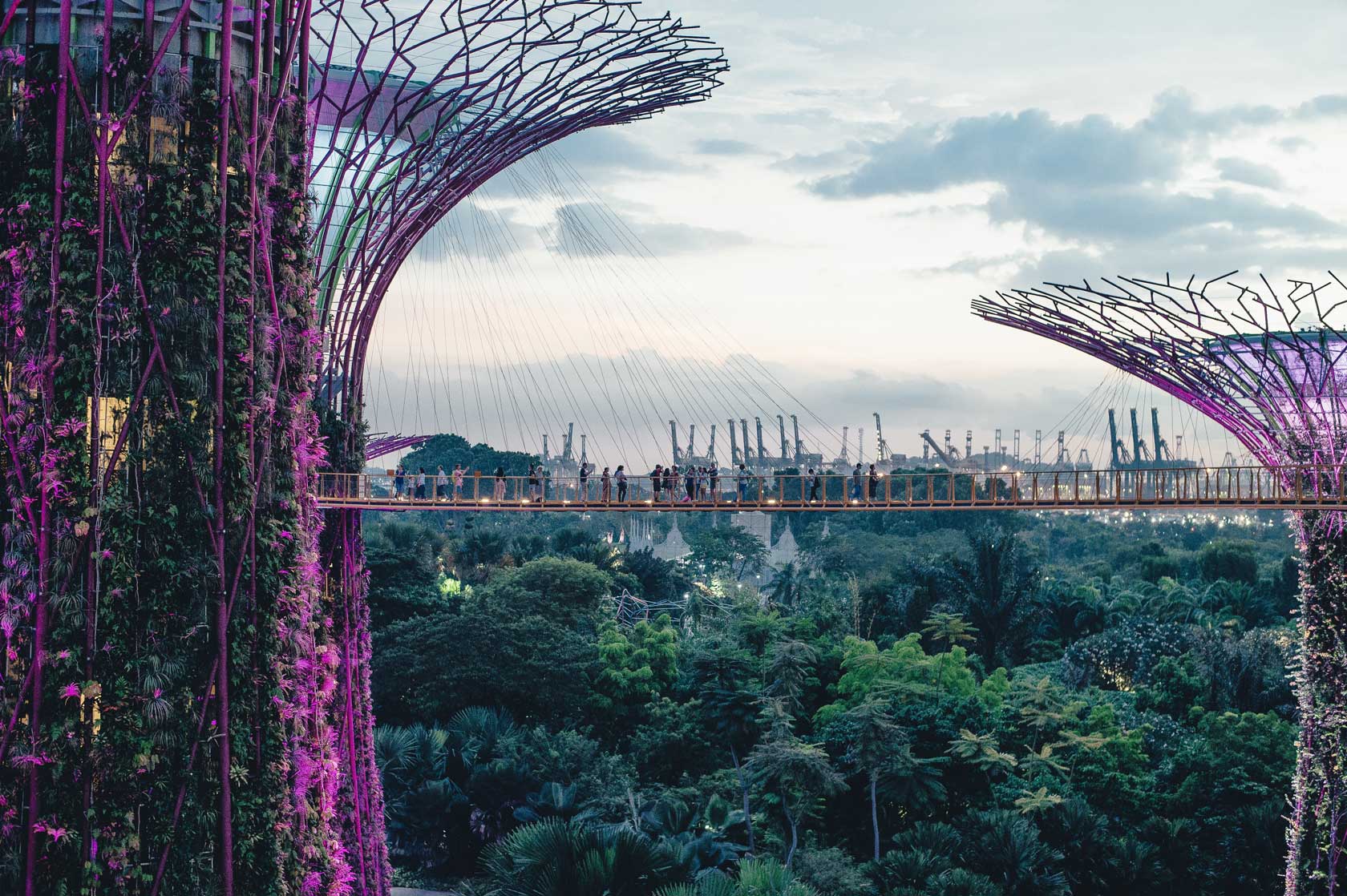 сады у залива Марина Бей в Сингапуре - Супер Деревья