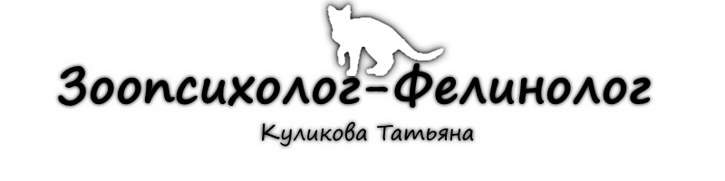 Зоопсихолог для кошек